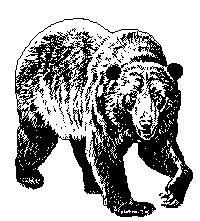 OLD BEARS